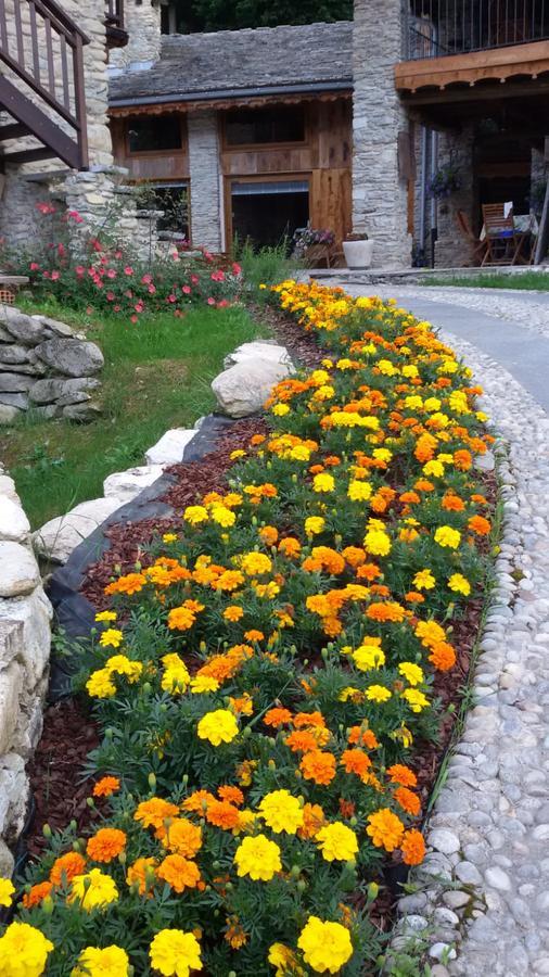 Il Sogno Della Vita Agriresort - Country Rooms & Suites Peveragno Экстерьер фото